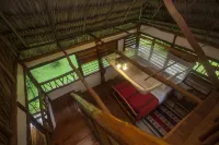 Cotton Tree Lodge Hôtels à : 