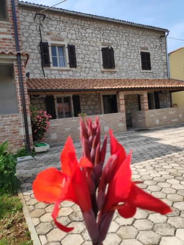 公寓 - 地面楼层