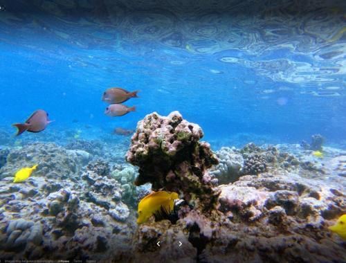 White Sands Beach Condo #324. Big Patio!! Ocean and Mountains Across from Beach! Two-Bedroom Townhouse