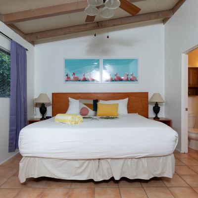 Premium King Room Float Palm Springs Promo Code