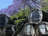 Tubohotel Hotels in 