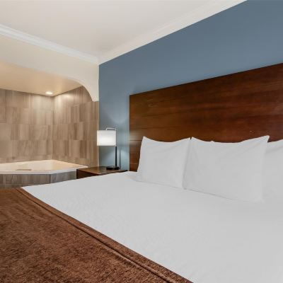 Suite-1 King Bed, Non-Smoking, Jacuzzi, Sofabed, Wet Bar, Microwave and Refrigerator Best Western InnSuites Tucson Foothills Hotel & Suites Promo Code