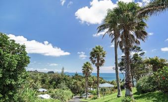 Villa Casita at Palm Beach by Waiheke Unlimited