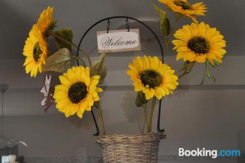 公寓 - 地面楼层