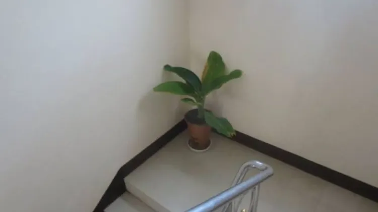 Chaleunehoung Hotel 施設