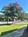 Beautiful 1 Bed Condo on Pinehurst Course No.5!