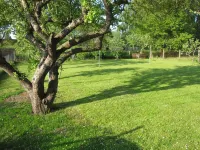 Small isolated cottage on a large meadow and orchard land