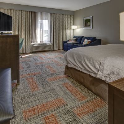 King Room With Sofa Bed, Microwave And Refrigerator – Non-Smoking Hampton Inn Summerville SC Promo Code