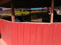 Brisa Caribbean Hotel a Bondo
