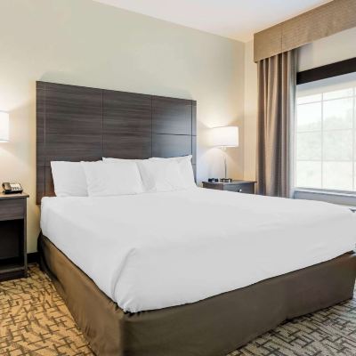 Accessible King Suite With Sofa Bed-Non Smoking Comfort Inn & Suites Promo Code