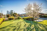 Ashleigh Court Motor Inn