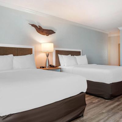 Accessible Cabana Two Queen Room Winter the Dolphins Beach Club, Ascend Hotel Collection Promo Code