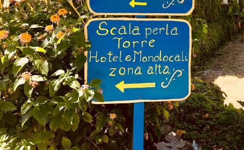 经济型双人或双床房