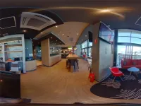 Ibis Natal