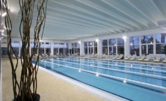 an indoor swimming pool with a long , empty lane and rows of lounge chairs surrounding it at Hotel Belvedere