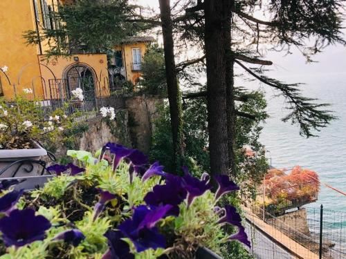 Rosa dei Venti - Lake View Apartments & Suites Deluxe Room