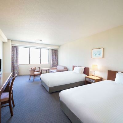 Superior Twin Room Mountain View