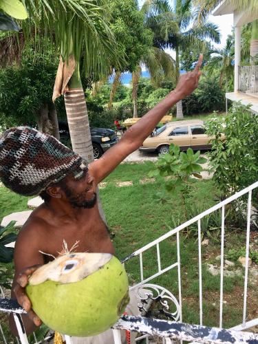 园景标准双床房