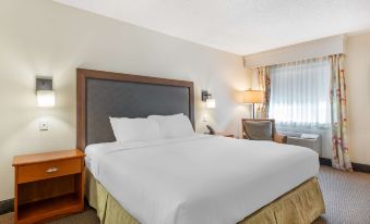 Best Western Plus University Park Inn & Suites - Housity
