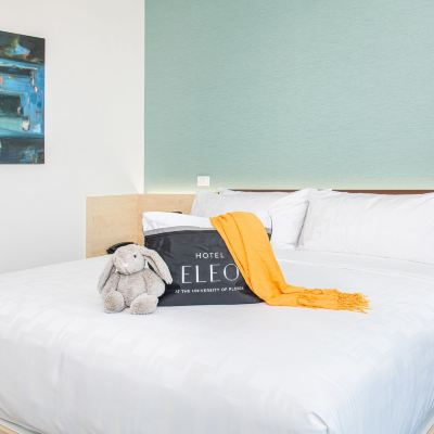 King Room With Lake View Hotel Eleo at The University of Florida Promo Code