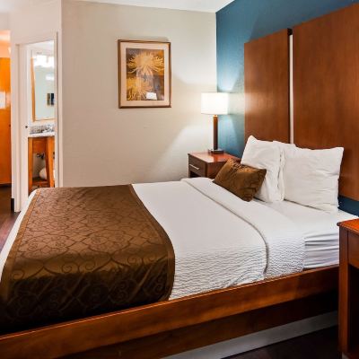 1張特大床，無煙，高速網絡，梳化床，羽絨被，MP3播放器，微波爐和冰箱 里士滿貝斯特韋斯特優質酒店優惠