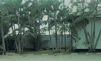 Transit Airport B&B - Housity