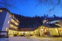 Pensiunea Sibiel Hotels in 