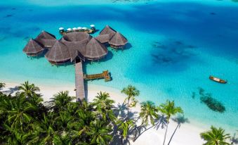 aerial view of a tropical beach with thatched - roof bungalows and palm trees , surrounded by clear blue water at Gili Lankanfushi Maldives