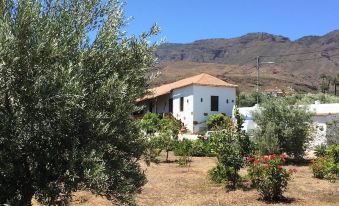 Casa Rural la Montaneta