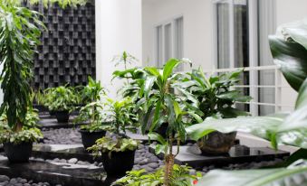 a row of potted plants on a balcony with black pebbles and a white wall in the background at Bromo Park Hotel Probolinggo