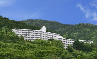 Misty Inn Sengokubara