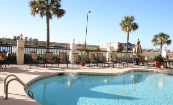 a large swimming pool with several lounge chairs and umbrellas , surrounded by palm trees and a building in the background at Hampton Inn Moultrie
