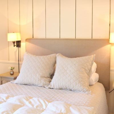 Indian Paintbrush Hoffman Haus Promo Code
