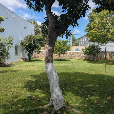 Carambola Rooms