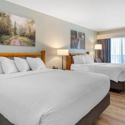 Standard Room, 2 Queen Beds, Non Smoking Three Bears Resort Promo Code