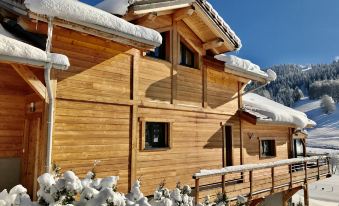 Cottage at the Foot of the Ski Slopes with Mountain Views - Chalet Nelda