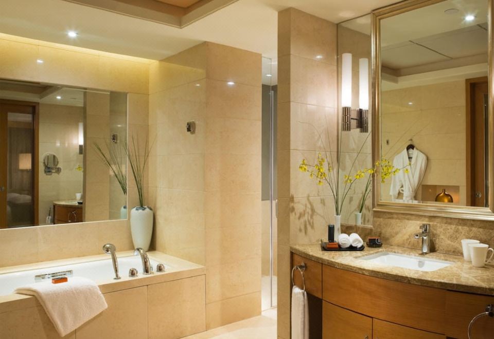 豪华双床房（乾湿分离浴室+吹风机）