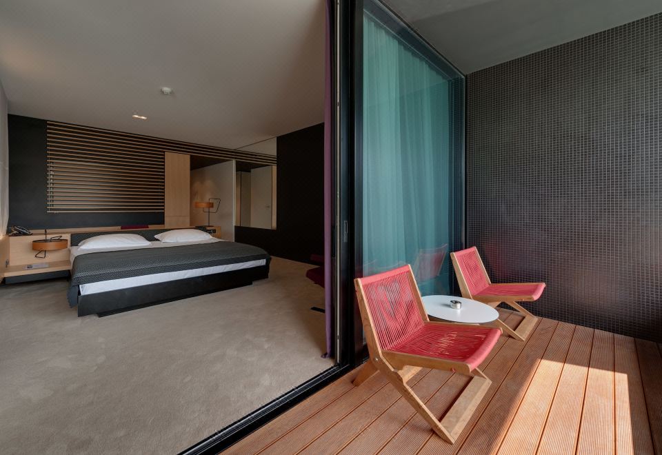 豪华房（带小型泳池） 禁烟