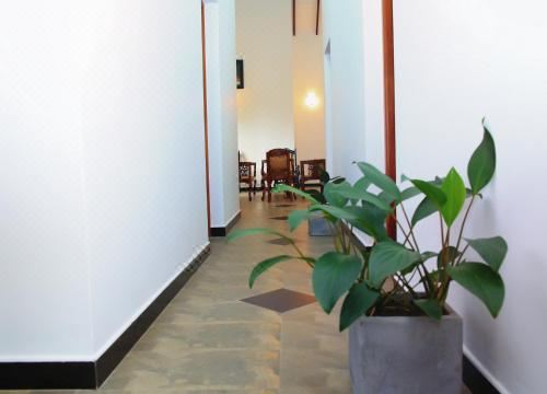 双人房（带独立浴室）