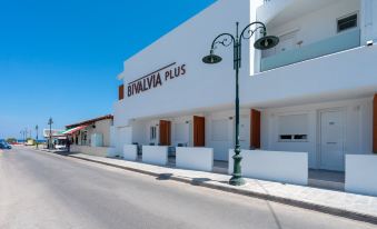 Bivalvia Beach Plus