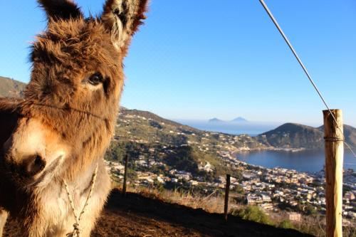 海景豪华双人房