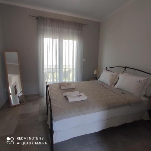 一室房（带阳台）