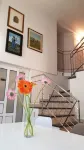 Galeria Nura