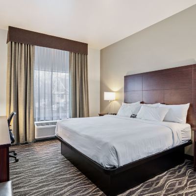 Room, 1 King Bed, Accessible Benched Tub, Audible/Visual Alert, Non Smoking Cobblestone Hotel & Suites-Little Chute Promo Code