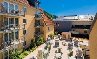 Steiger Apparthotel Bad Schandau