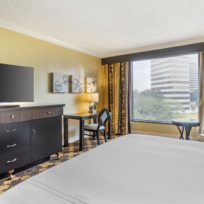 Premier Signature King Room with Pool View