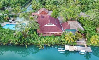 an aerial view of a house with a red roof , surrounded by trees and a body of water at Loboc River Resort