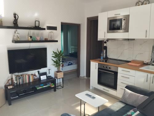 享有花园景致的公寓