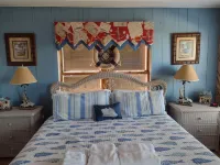 Direct Oceanfront & Private, Dog Friendly, 2Br House, July/August Availability.