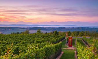 a vineyard with rows of grapevines , a red phone booth in the foreground , and mountains in the background during sunset at Residence Inn Halifax Dartmouth